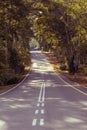 The street in the forest Royalty Free Stock Photo