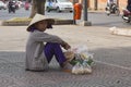 Street fruit and peanuts seller in Vietnam