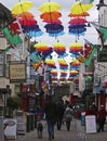 A Street Full of Brollies, Caernarfon, Wales, Great Britain, UK