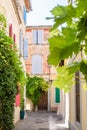 Street with green plants in Arles France