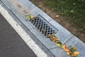 Street gutter of a stormwater drainage system Royalty Free Stock Photo