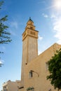 Street in Hammamet town, Tunisia Royalty Free Stock Photo