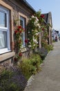 Street, House with roses in North Kessock in the Beauly Firth bay in Scotland Royalty Free Stock Photo