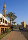 Street in Hurghada with a palm tree Royalty Free Stock Photo