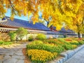 Street of Jeonju Hanok Village Traditional Korean Town, Jeonju, Jeollabukdo, South Korea Royalty Free Stock Photo