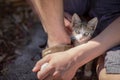 Street Kittens in Croatia