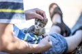 Street Kittens in Croatia