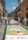 Street of La laguna with flower carpets