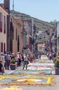 Street of La laguna with flower carpets