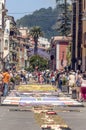 Street of La laguna with flower carpets