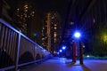 Street lamp blue lightings in park at night Royalty Free Stock Photo