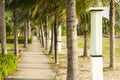 Street lamp and coconut tree and walkway at garden park near the beach at evening with sunshine Royalty Free Stock Photo