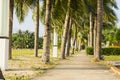 Street lamp and coconut tree and walkway at garden park near the beach at evening with sunshine Royalty Free Stock Photo