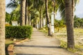 Street lamp and coconut tree and walkway at garden park near the beach at evening with sunshine Royalty Free Stock Photo