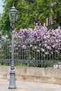 Street lamp in Dresden. Royalty Free Stock Photo