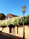 Street lamp with fence and bush Royalty Free Stock Photo