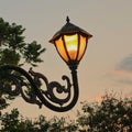 Street Lamp at fine evening