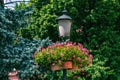 Street lamp and flowers.