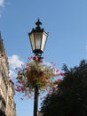 Street lamp with flowers Royalty Free Stock Photo
