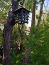 Street lamp in the form of a cage or birdhouse for birds.