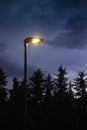 Street lamp lit at twilight with trees in the background and rain falling Royalty Free Stock Photo