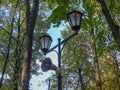 A street lamp and a loudspeaker against a background of green trees and overcast sky Royalty Free Stock Photo