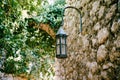 Street lamp near trees on a stone wall in Old Bar town in Montenegro. Royalty Free Stock Photo