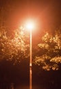 Street lamp outside bright late at night no people scene Royalty Free Stock Photo