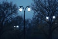 Street lamp in the park at night,  Street lanterns on a foggy day Royalty Free Stock Photo