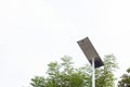 Street lamp post with solar panel energy and green tree on white background. Royalty Free Stock Photo