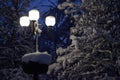 Street lamp shines with white light on winter night