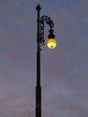 Street lamp shining at dusk Royalty Free Stock Photo