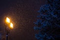 Street lamp on the street overnight in the winter, snow falling in a warm bright light and dark near a large pine tree Royalty Free Stock Photo