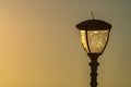 Street lamp on sunset background. Concept of design of the parks and walking streets. Maintenance of them