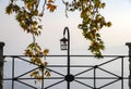 Street lamp surrounded by branches of a plane tree