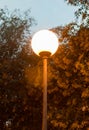 Street lamp under a tree at night in the dark with yellow light close-up Royalty Free Stock Photo