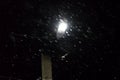 Street lamp at winter night during snowfall Royalty Free Stock Photo