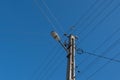 Street lamppost with wires. Street lamp with a bird Royalty Free Stock Photo