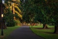 Street lamps lit at evening in Farmleigh Phoenix Park and footpath surrounded by trees, Dublin