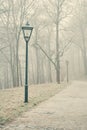 Street lamps in misty forest park Royalty Free Stock Photo