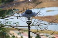 Street lamps on park hill