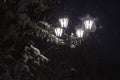 Street lamps in snowfall close up photo Night. Royalty Free Stock Photo