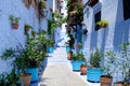 Street landscape of the of old historical medieval city ÃÂ¡hefchaouen in Morocco