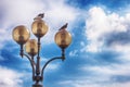 Street lantern with energy-saving lamps, on two lamps doves are sitting Royalty Free Stock Photo