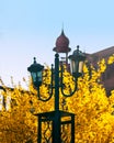 Street lantern on a yellow bush background.