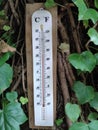 Street Large scale thermometer in the shade of green leaves
