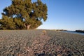 Street-level view of the Grand Island road and the Sacramento River on a sunny day. Royalty Free Stock Photo