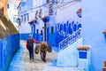 Street life in the blue city of Chefchaouen. Donkey used to tran