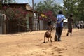 Street life in small Hamer Village.