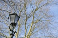 Street light in the afternoon. Blue sky and tree branches Royalty Free Stock Photo